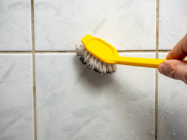 Best Commercial Mold Removal  in Keowee Key, SC