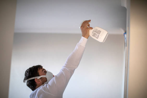 Best Emergency Mold Removal  in Keowee Key, SC