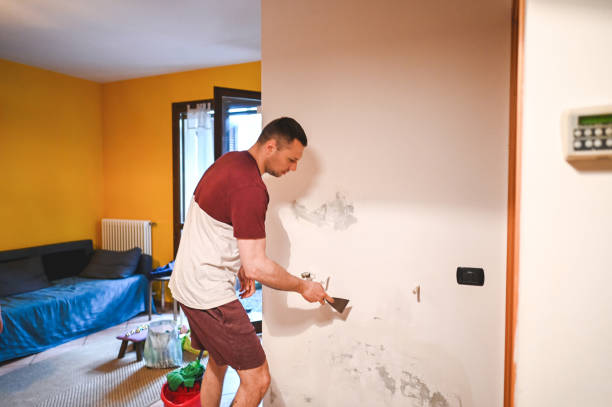 Best Professional Mold Removal  in Keowee Key, SC