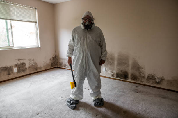Professional Mold Removal in Keowee Key, SC